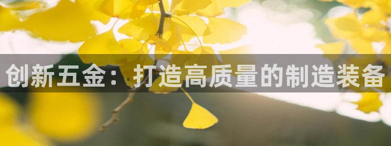 天宏娱乐32937股东