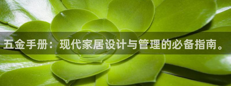 天宏娱乐石叔简介图片