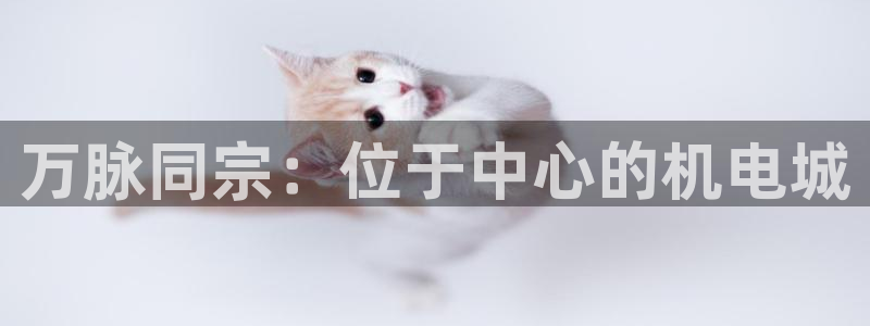 天宏娱乐北北