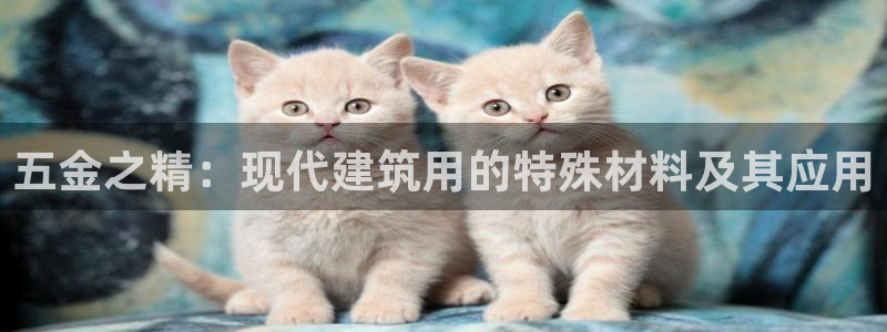 天宏娱乐男孩