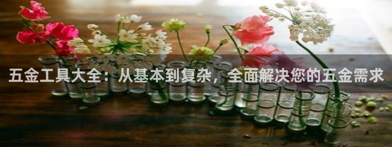 天宏娱乐男神