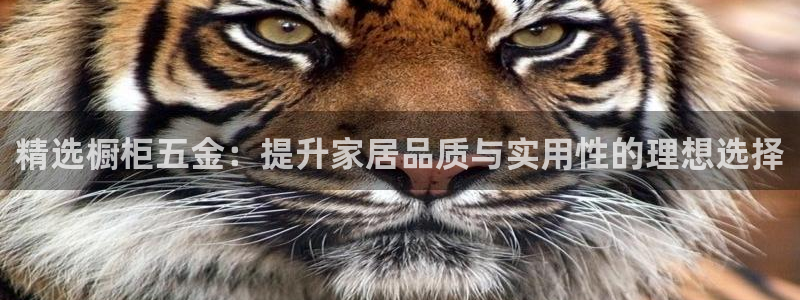 天宏娱乐主管待遇