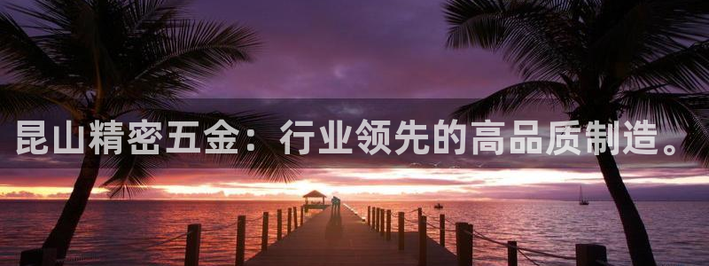 天宏娱乐32937股东
