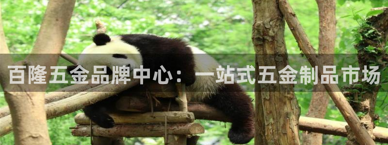 天宏娱乐季叔