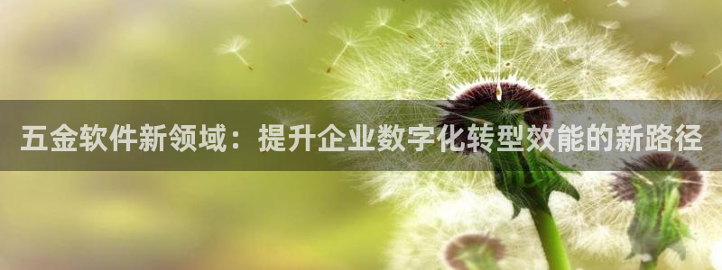 天宏娱乐l 判官