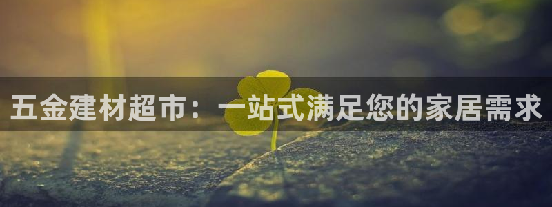 天宏娱乐开业晚宴