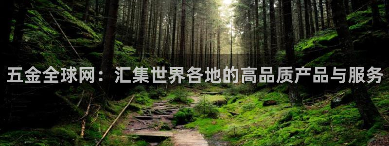 天宏娱乐开业