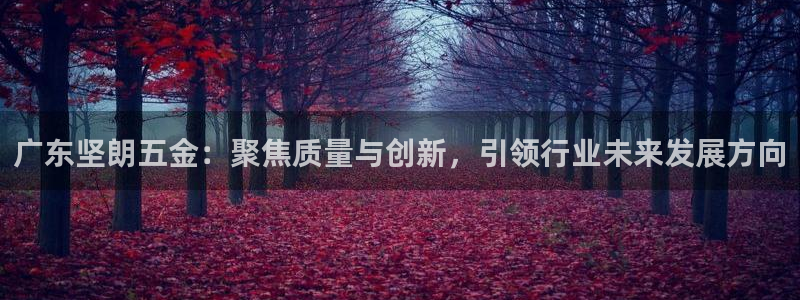天宏娱乐传媒岳阳分公司