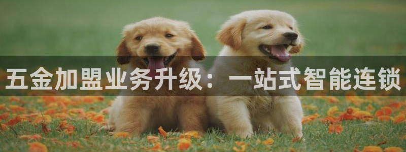 天宏娱乐小号怎么玩
