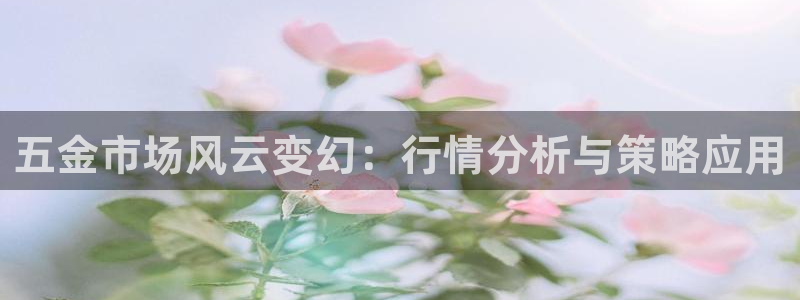 天宏娱乐卢叔