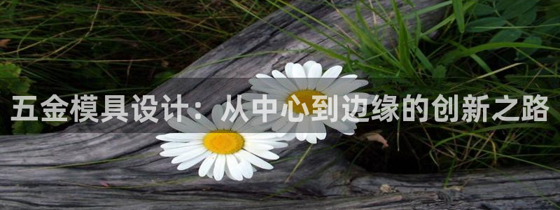 天宏娱乐金叔