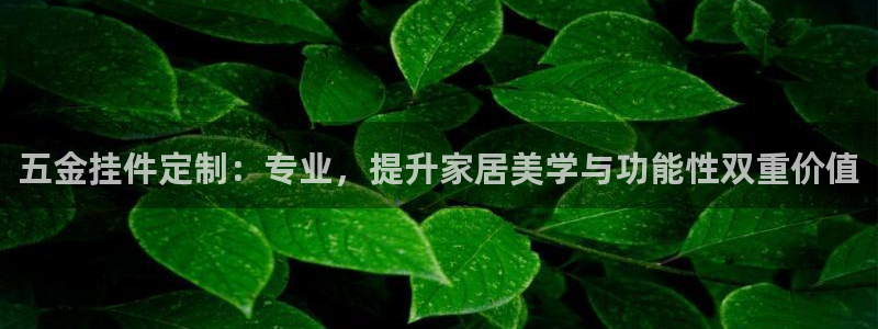 天宏娱乐君叔