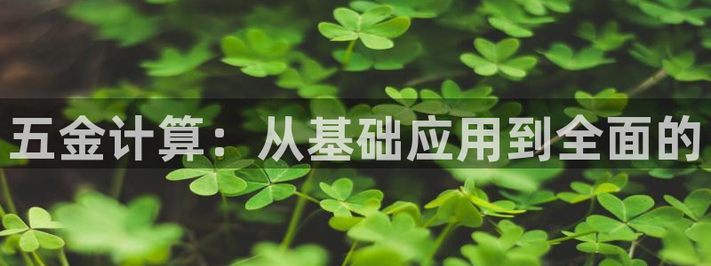 天宏娱乐大叔团唱歌