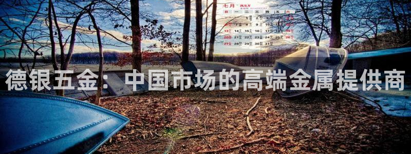 天宏娱乐 92229实c力