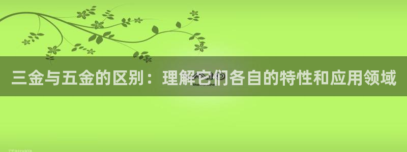 内蒙古天宏娱乐