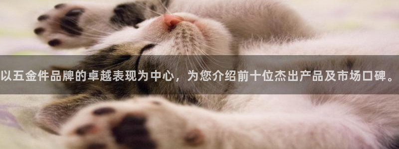 天宏娱乐股东