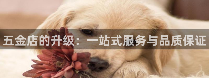 天宏娱乐大叔团队介绍图片