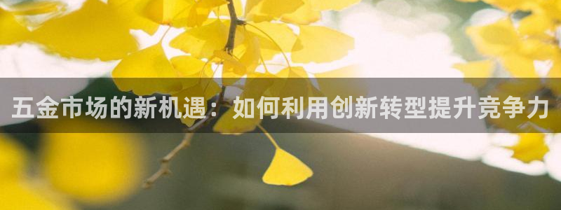 天宏娱乐小号是什么