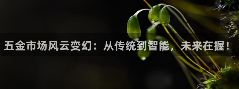 天宏娱乐的王叔