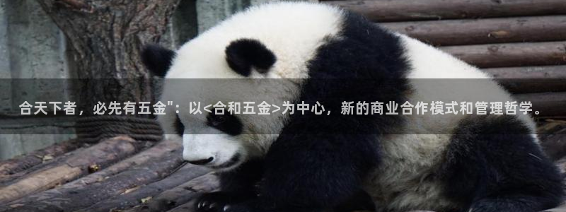 天宏娱乐大叔团队介绍视频