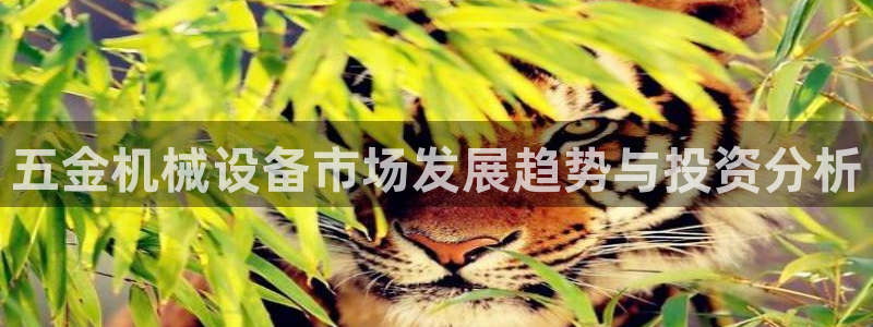 天宏娱乐团购活动