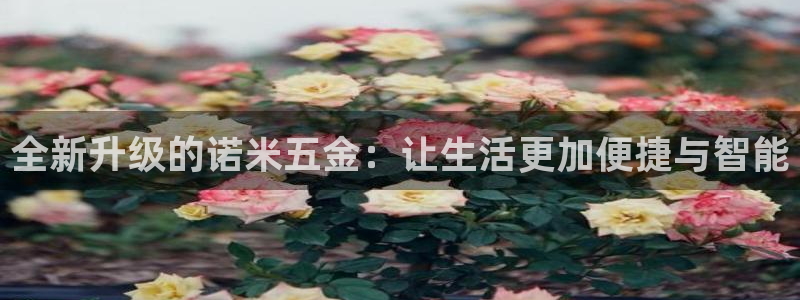 天宏娱乐是干嘛的啊