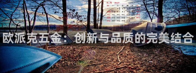 天宏娱乐的老板是谁